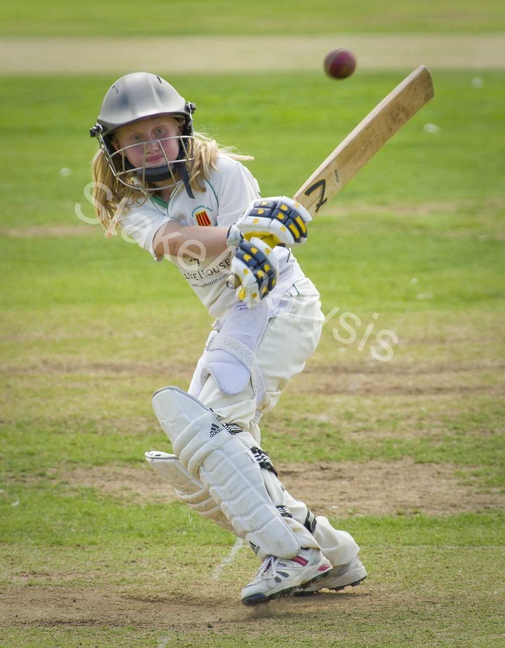 Kieron Pollard Batting